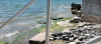 Sakura Cottage - Serenity on PEC Waterfront