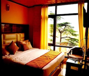 Free WiFi - Hotel Shining Star (Shimla)