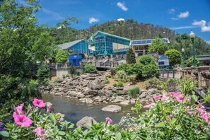 Explore the aquarium's vibrant outdoor space, featuring a glass entrance and scenic views of a stream surrounded by lush greenery and flowering plants.
