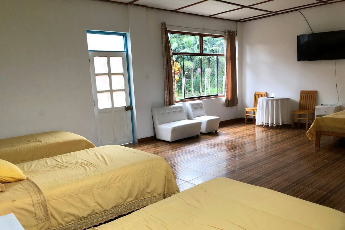 Une chambre d’hôtel avec deux lits, un canapé, une télévision et une fenêtre donnant sur un paysage verdoyant.