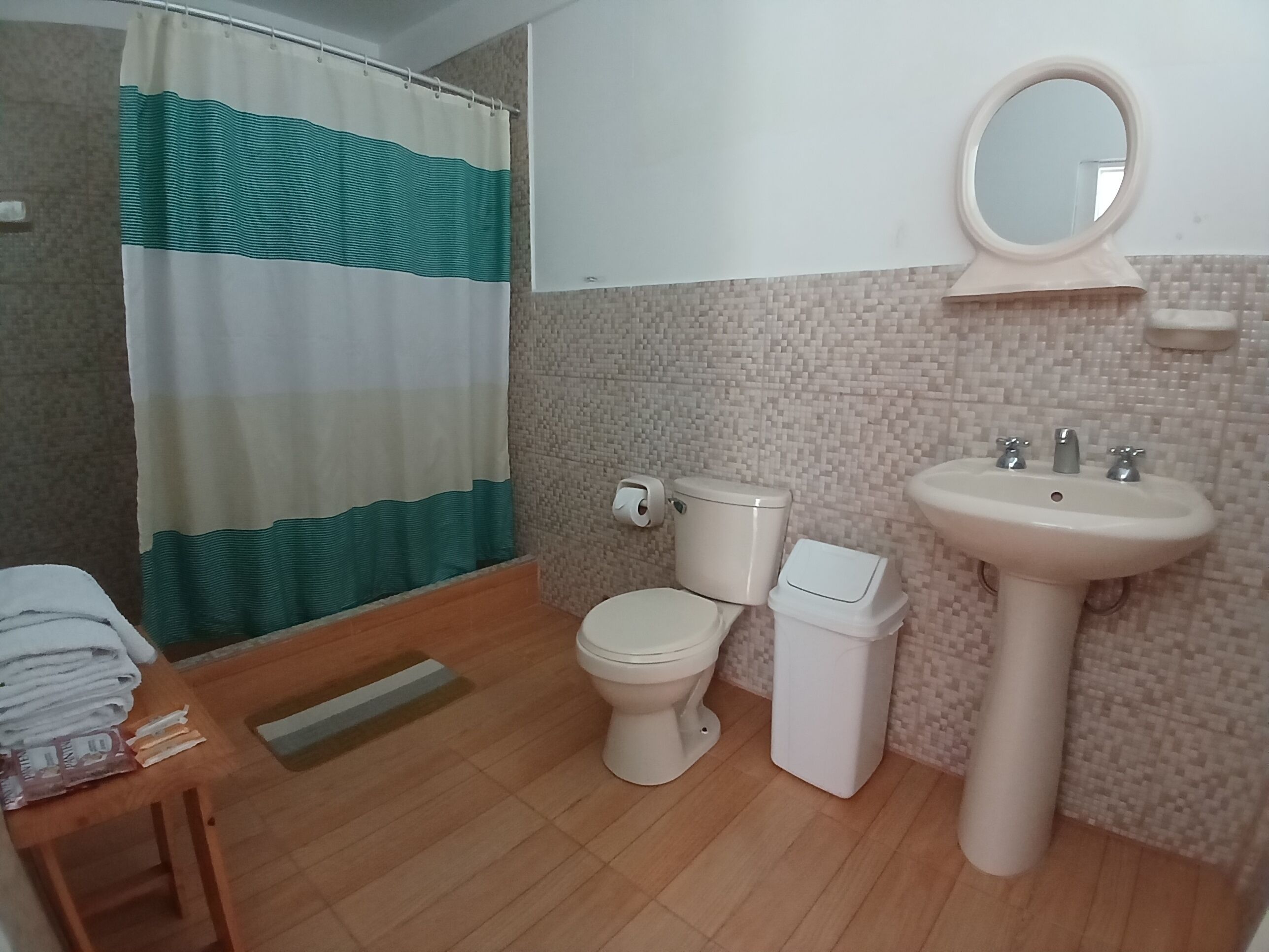 A bathroom with a toilet, sink, and shower curtain.