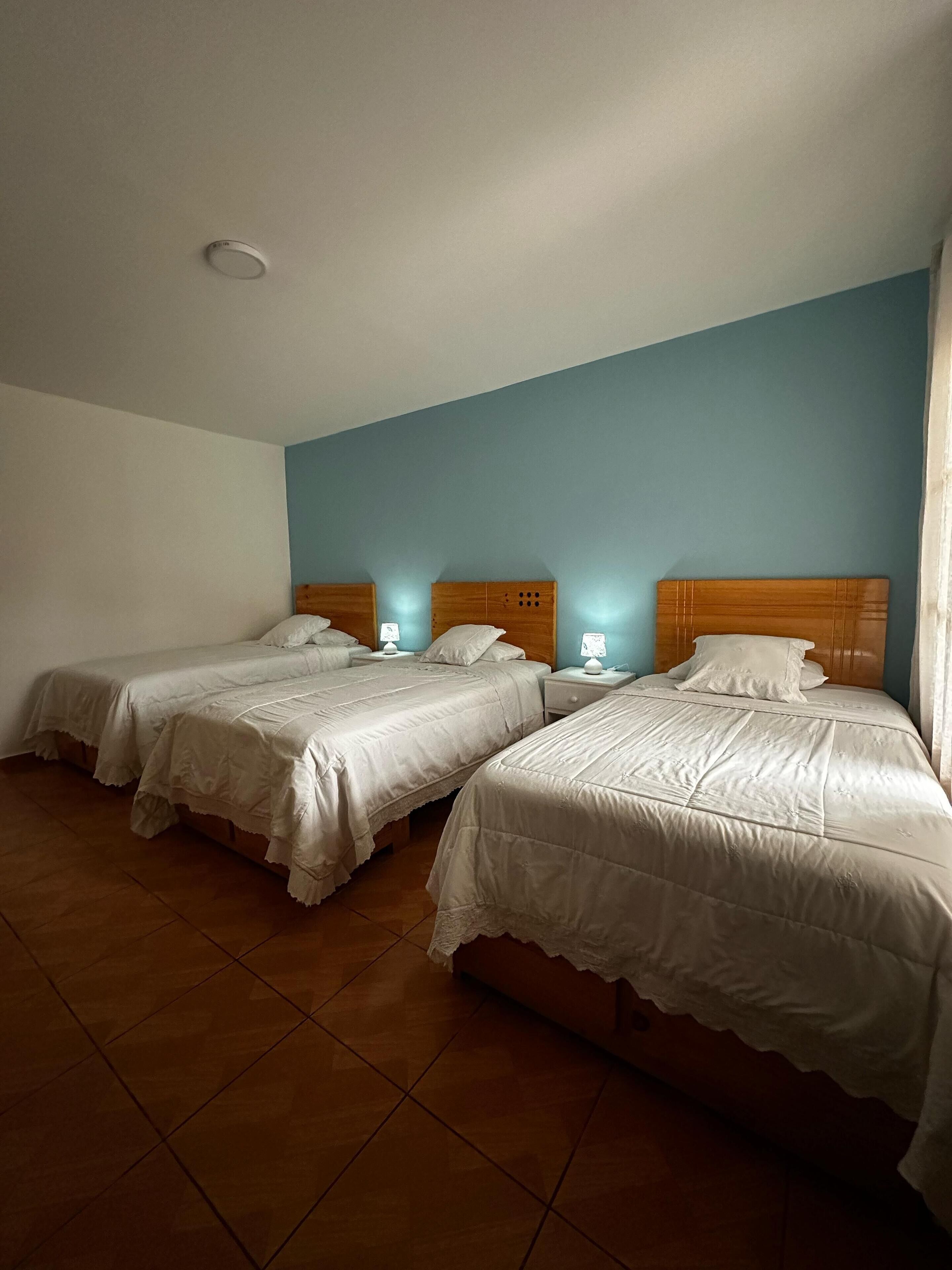 Una habitación de hotel con dos camas individuales, un cabecero de madera y una pared azul decorativa.