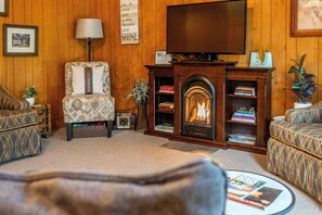 Smart TV, fireplace, DVD player, books