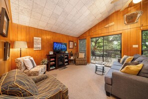 Smart TV, caminetto, lettore DVD, libri