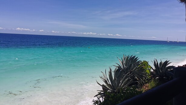 A beach view with clear turquoise water, a sandy shore, and some vegetation. - Ellavita Cottages (Nungwi)