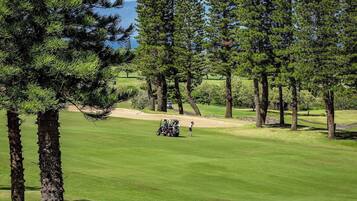 A golf course with a clear sky, well-maintained grass, and tall pine trees.