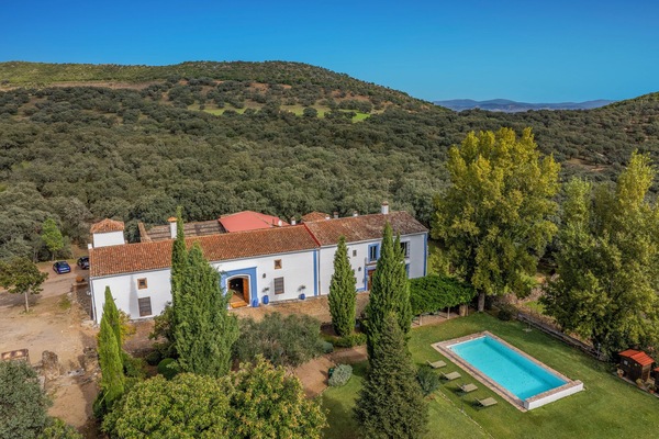 Welcome to the glorious Olive MIll in it's own forest