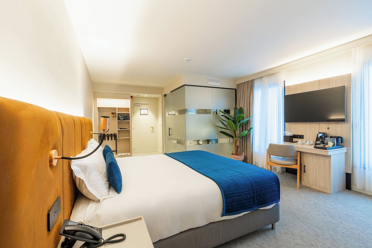 A hotel room with a bed, a desk, a TV, and a plant.
