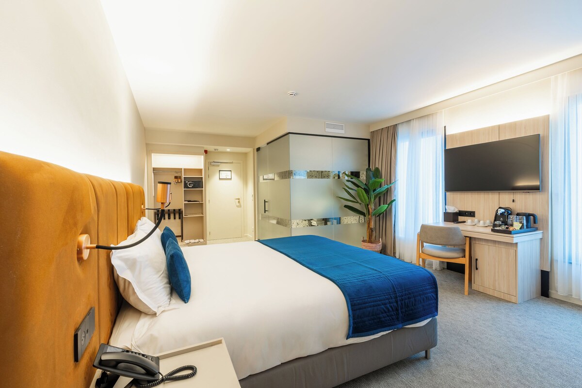 A hotel room with a bed, a desk, a TV, and a plant.