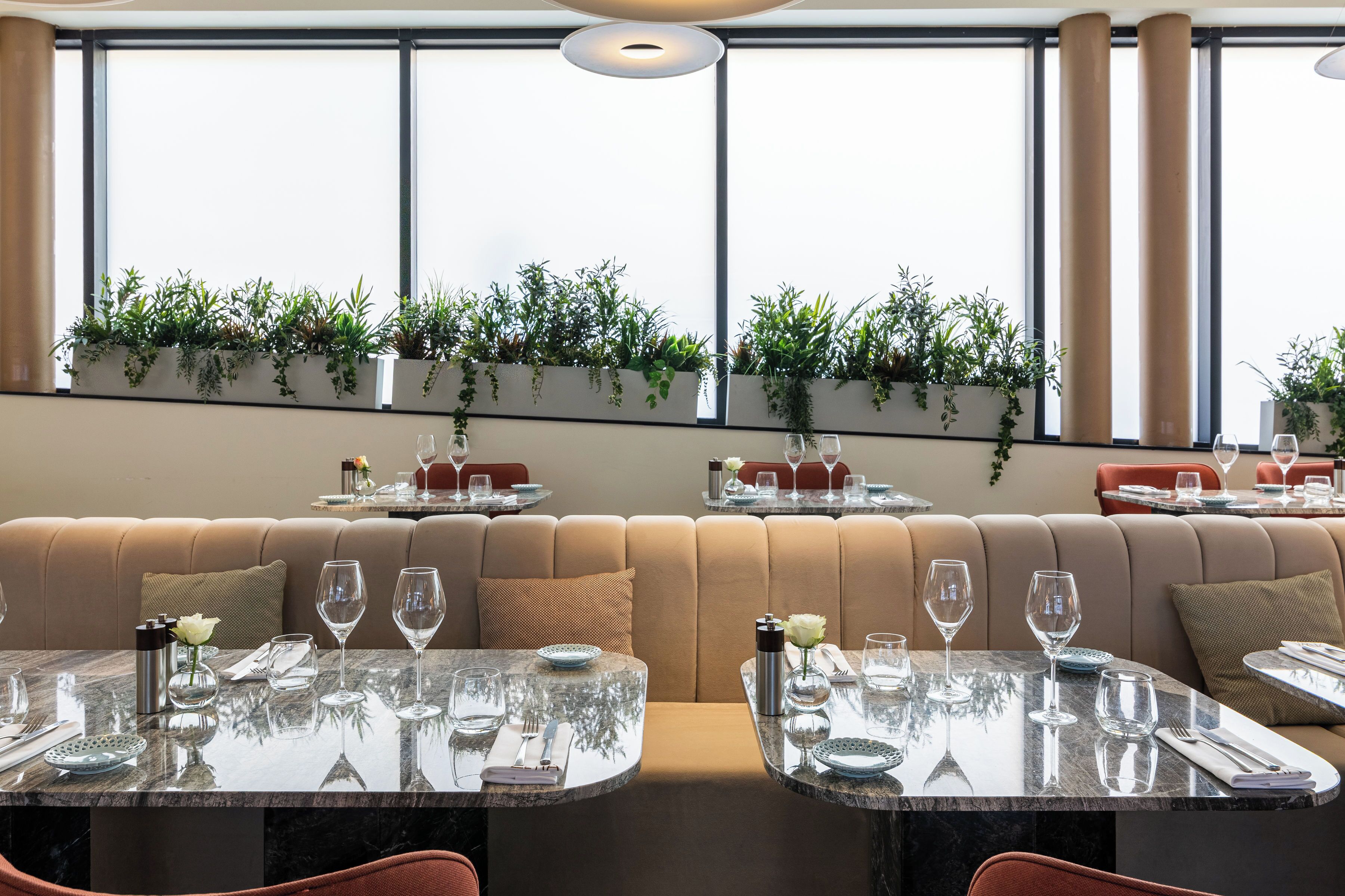A restaurant with a long brown sofa, tables with glass tops, and potted plants on the windowsill.