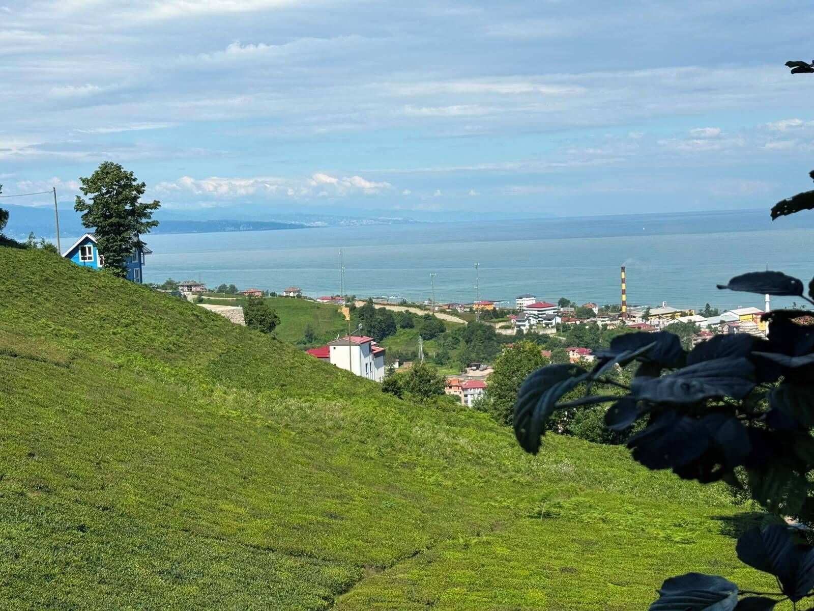 A coastal landscape with a hill, buildings, and a body of water.