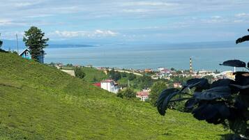 A coastal landscape with a hill, buildings, and a body of water.