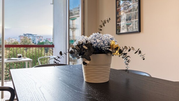 Una planta en maceta sobre una mesa de balcón con vista a la ciudad.