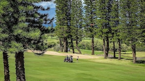 Un campo da golf con cielo sereno, erba curata e alte conifere.