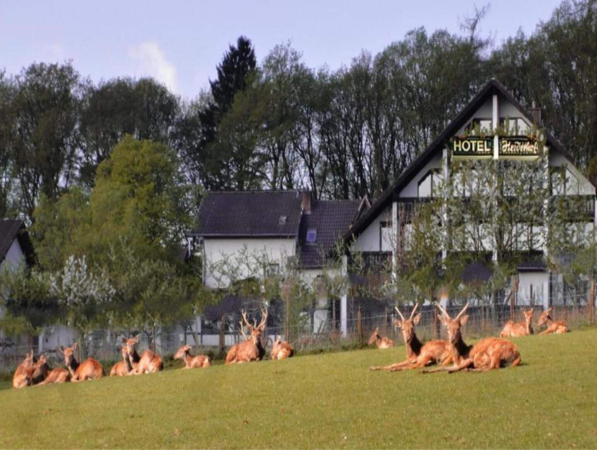 Ein Hotel mit einem Schild, umgeben von einer Wiese mit Hirschen.