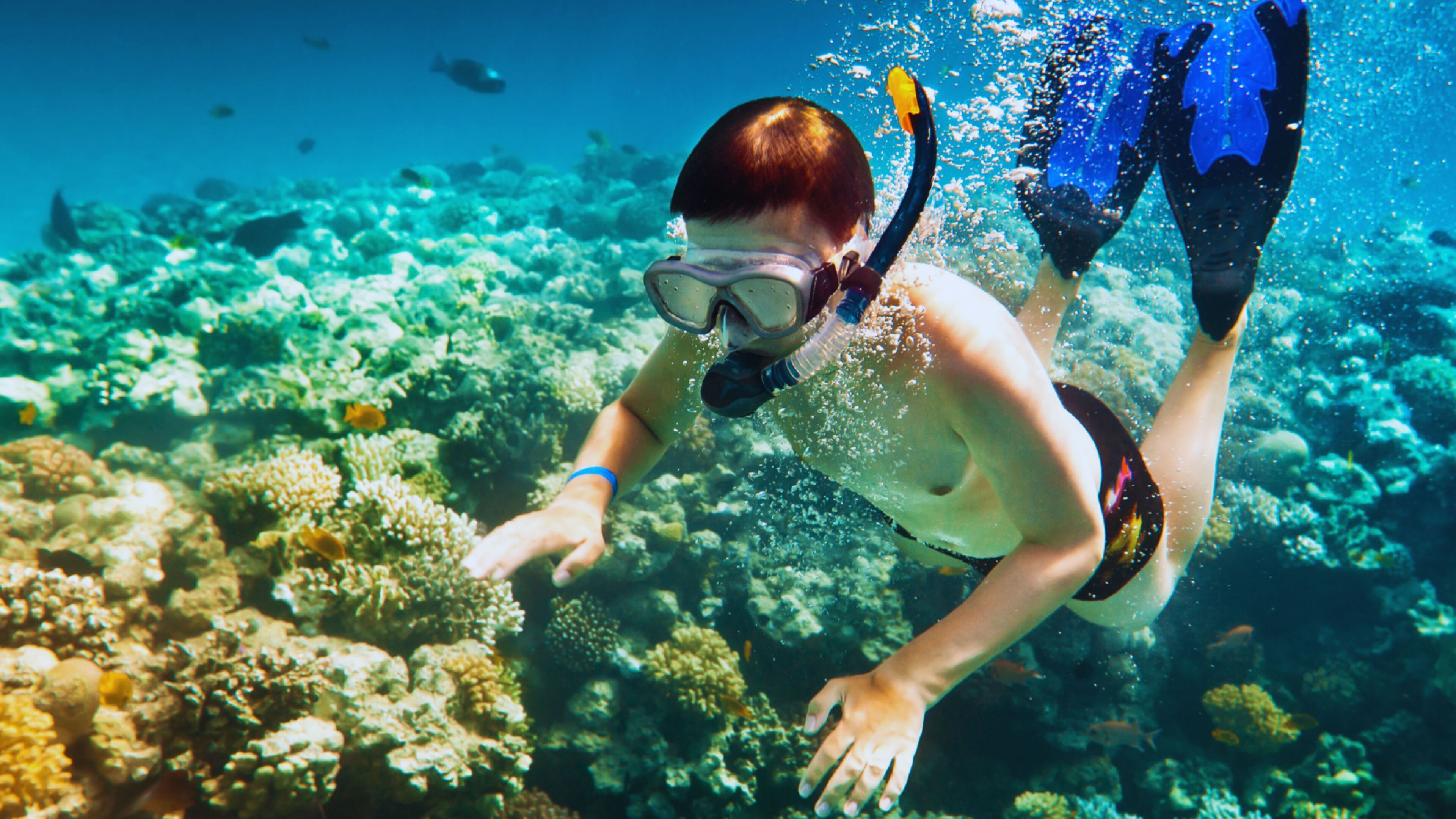 A person snorkeling underwater with coral formations and fish in the background.