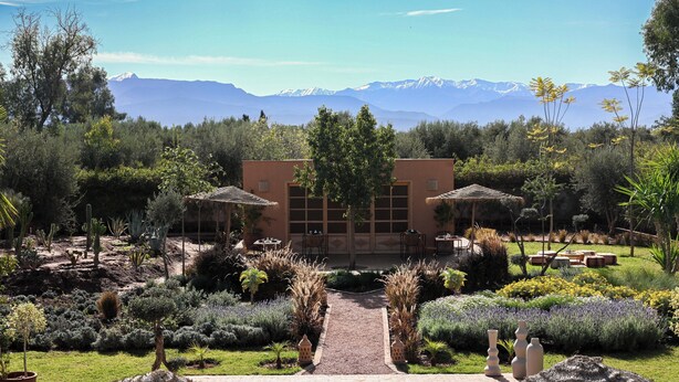 A garden with a building in the background, surrounded by various plants and trees.