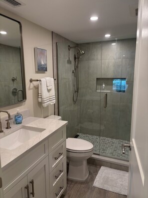 Douche, séchoir à cheveux, serviettes fournies, savon