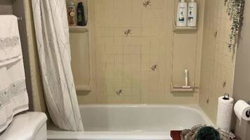 Hair dryer, bidet, towels, soap