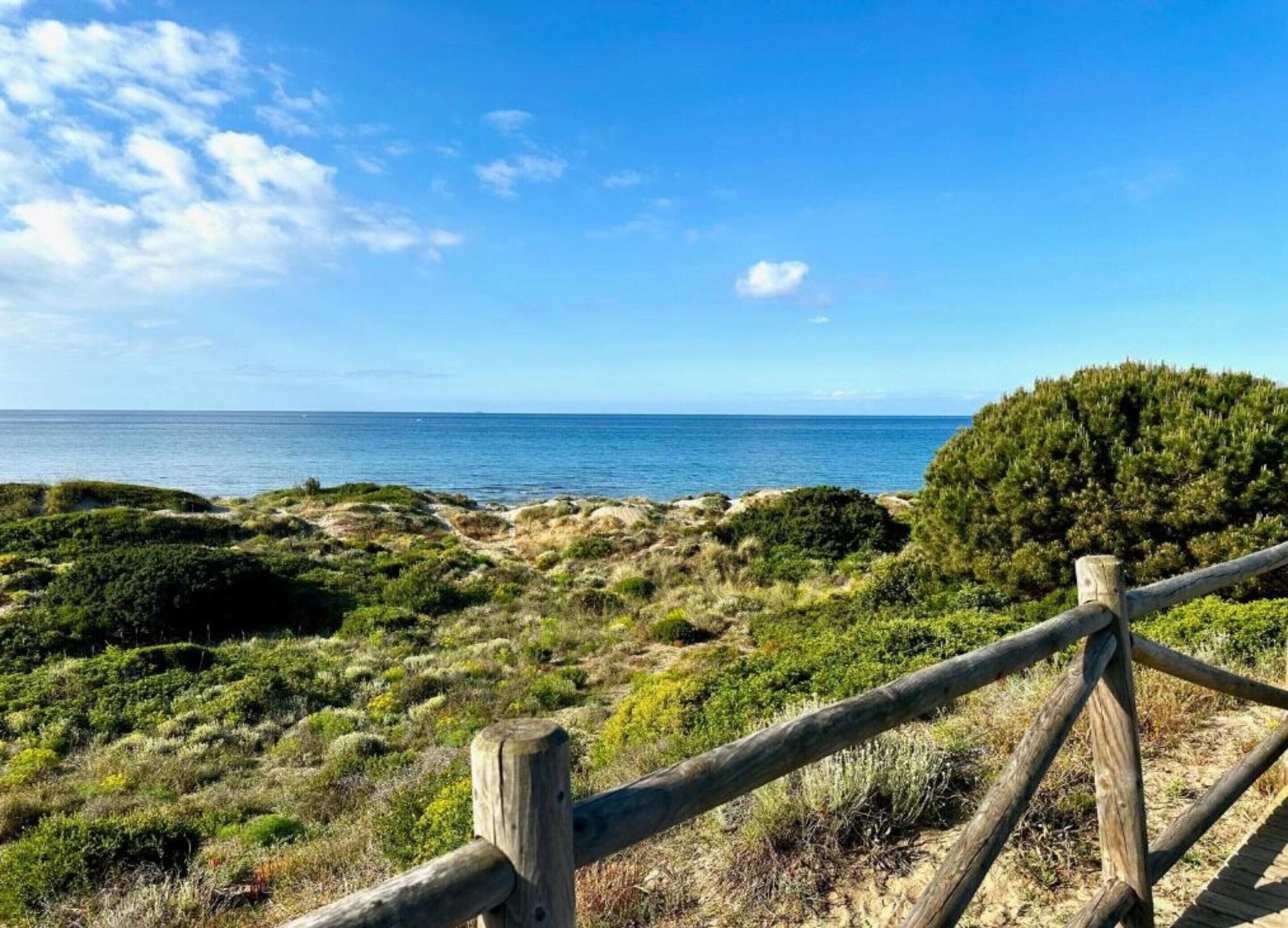 Un paysage côtier avec une clôture en bois, une végétation luxuriante et une vue dégagée sur la mer.