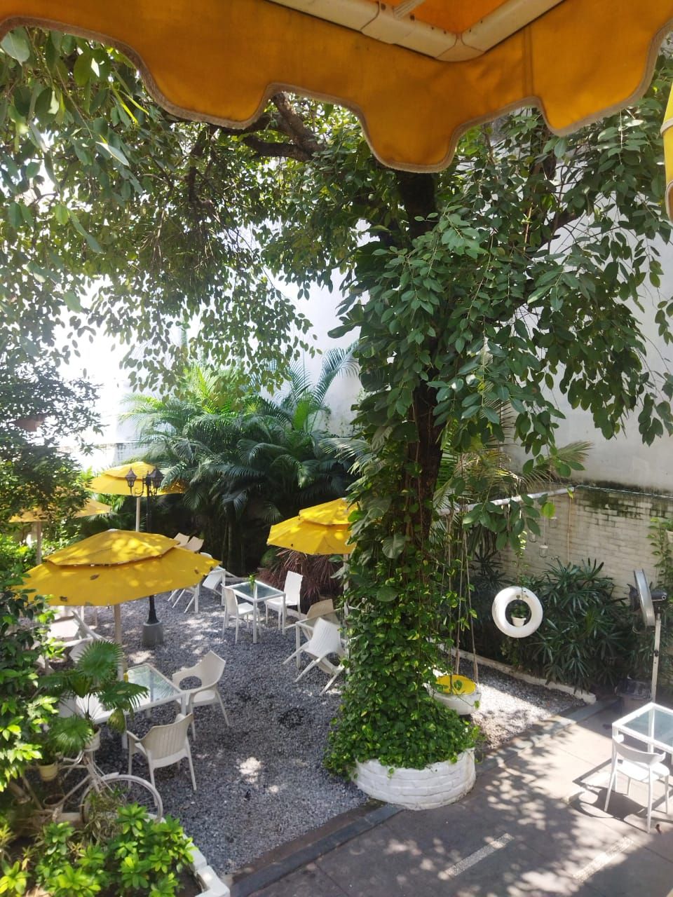 An outdoor seating area with white chairs and yellow umbrellas, surrounded by greenery and a tree.
