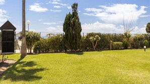 A well-maintained grassy area with a tall tree, a small shed, and a fence. - House in Marbella Near Sandy Beach (Marbella)
