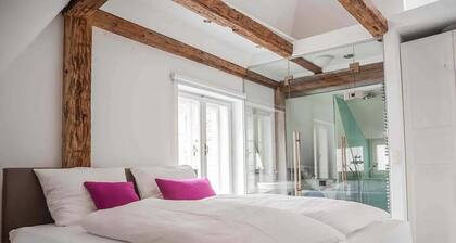 Urban Luxury Apartment in the Heart of Graz - Where History Meets Modern Comfort