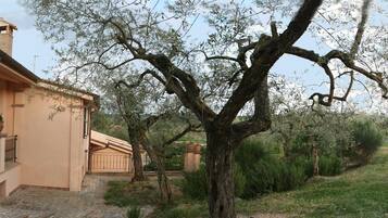 Casa | Esterni