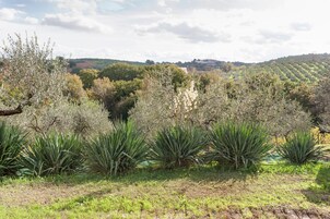 独立别墅 | 花园