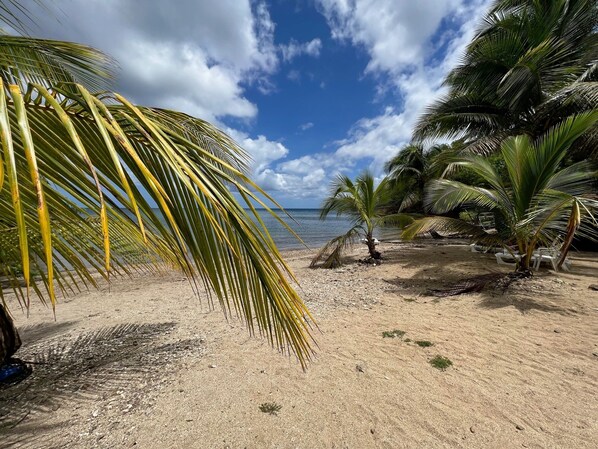 Beach nearby