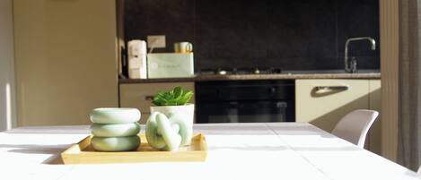 Fridge, oven, stovetop, coffee/tea maker