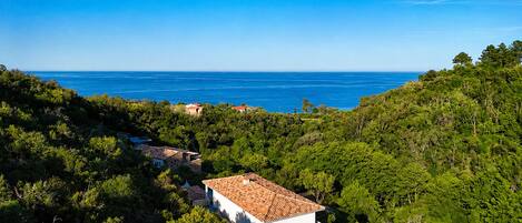 A coastal village with white buildings and red roofs, surrounded by dense greenery and the sea in the background.