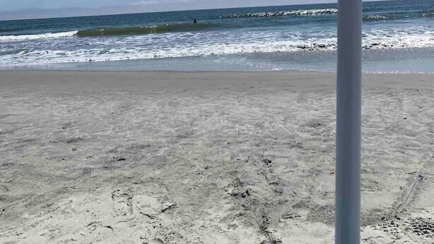Ein Strandkorb mit floralem Muster, ein sandiger Strand und das Meer im Hintergrund.