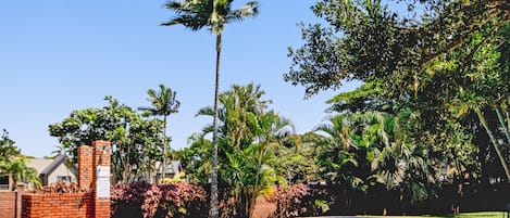 Alberca