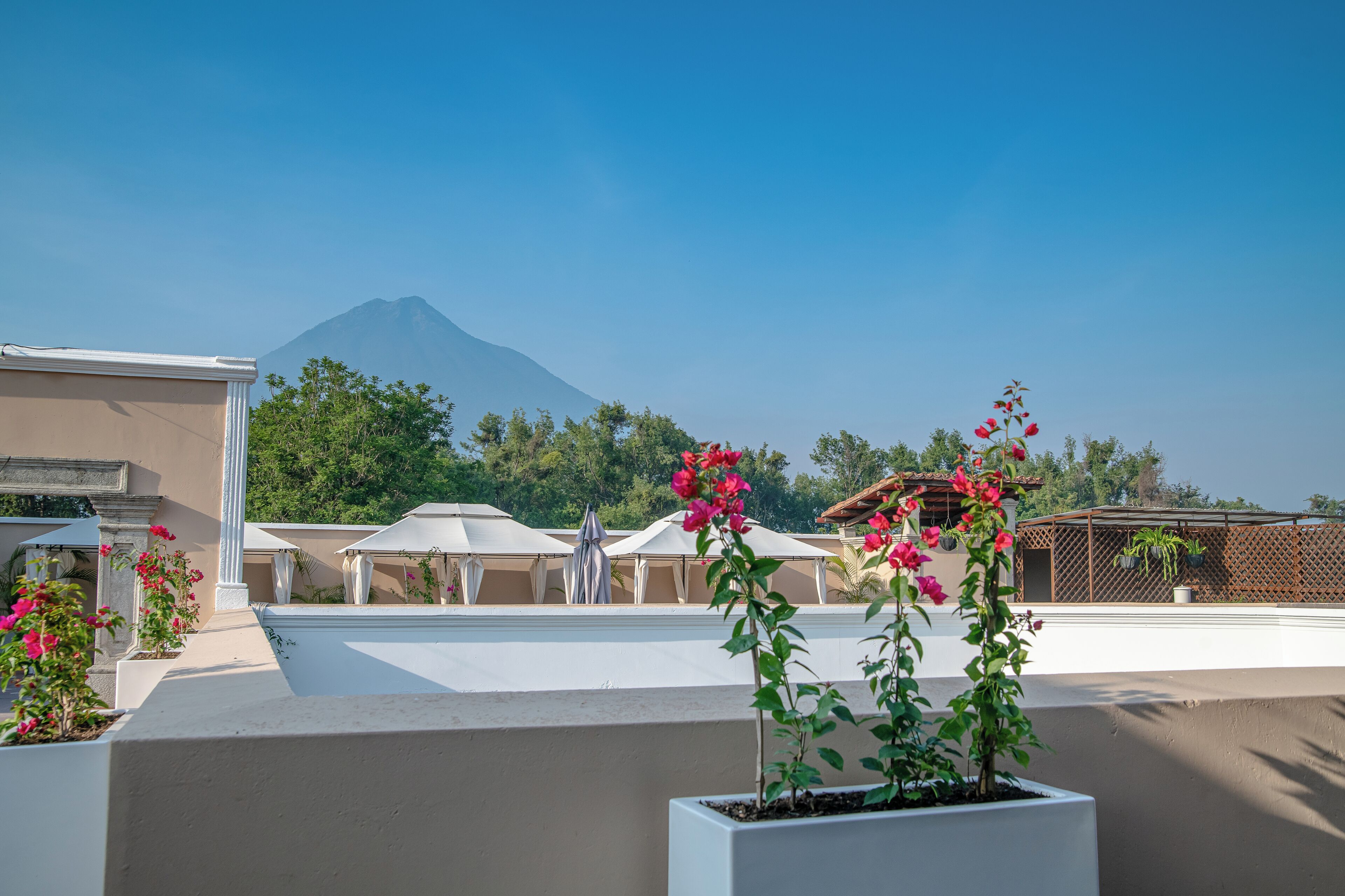 Terraza en la azotea con plantas en macetas y sombrillas, una montaña al fondo y cielo despejado.