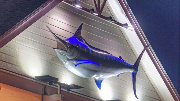 Sailfish & Dolphin Buyout By Avantstay 2 Units, Marina Front + View, Patio - Port Aransas, TX