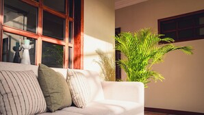 Een woonkamer met een bank, een grote potplant en een raam met houten kozijnen.