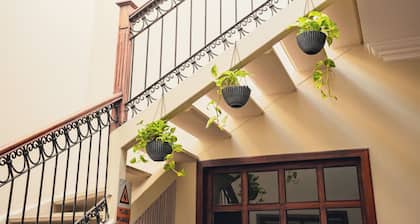 Casa 11-24 by Casa Bolivar