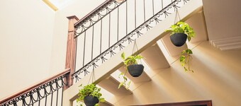 Casa 11-24 by Casa Bolivar