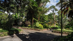 Un vialetto lastricato circondato da rigogliosa vegetazione e alberi in un giardino.