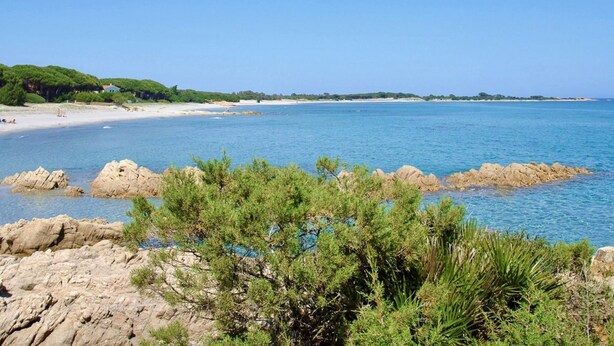 Un paisaje costero con afloramientos rocosos y vegetación densa en primer plano, que conduce a una playa de arena y un mar tranquilo bajo un cielo despejado.