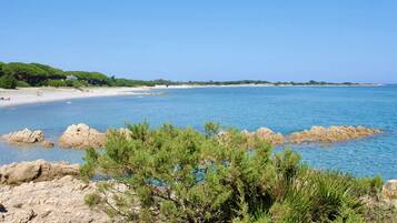 Playa
