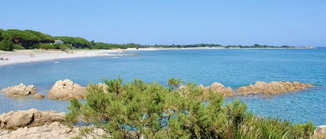 海灘
