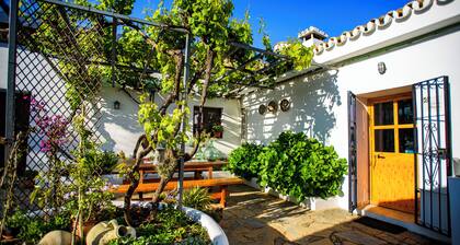 Old house