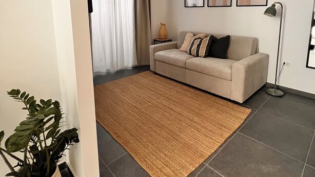 A modern living room with a beige sofa, a woven rug, and a potted plant. - Charming 2-bedroom house in lovely Catania with WiFi, AC (Catania)