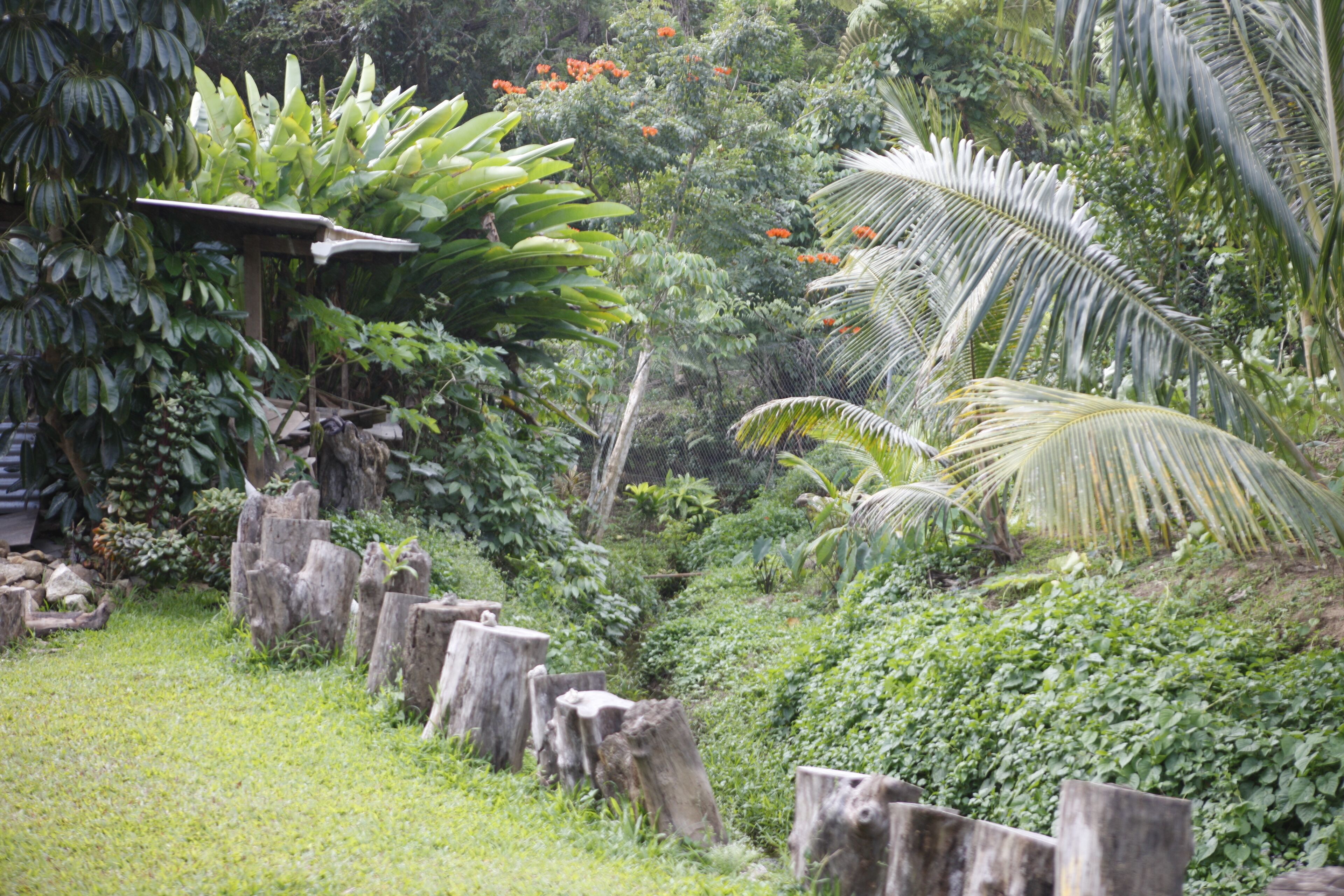 Basic Room | Garden view