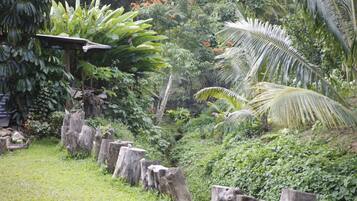 Habitación básica | Vista al jardín
