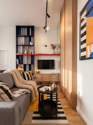 Fernseher, Arbeitsbereiche