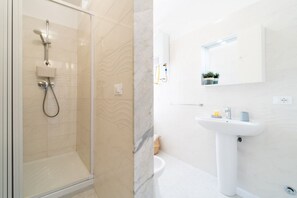 Shower, hair dryer, bidet, towels