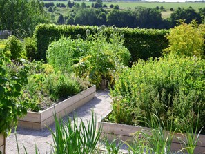 A garden with raised beds and a variety of plants.